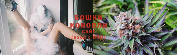 ешки Инсар