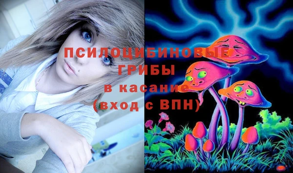 ешки Инсар