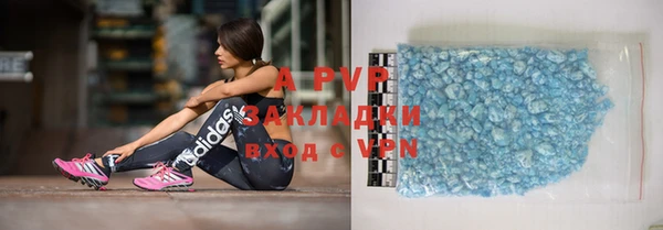 амф Инта