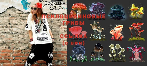 амф Инта