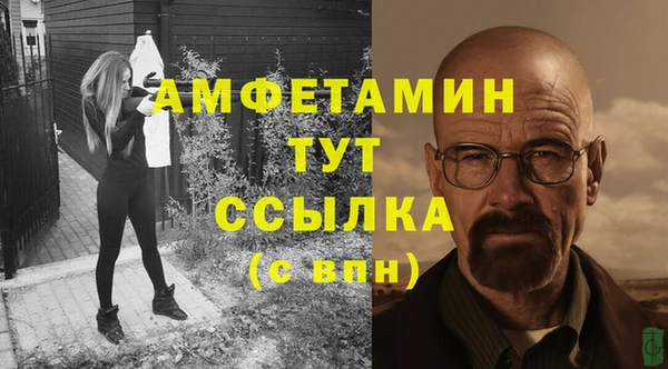 амф Инта