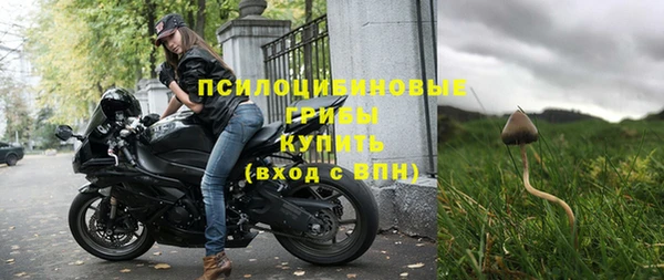 амф Инта
