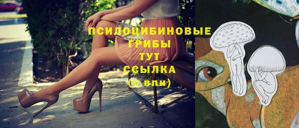амф Инта