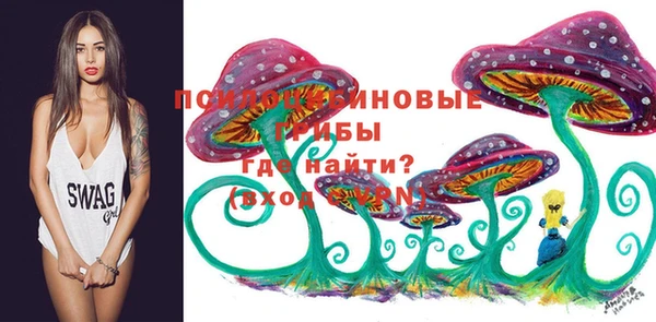 прущая мука Иннополис