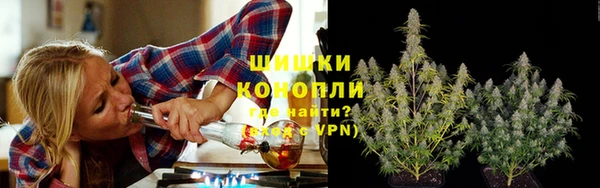 амф Инта