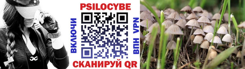 Псилоцибиновые грибы мухоморы  Купить закладки  Грайворон 